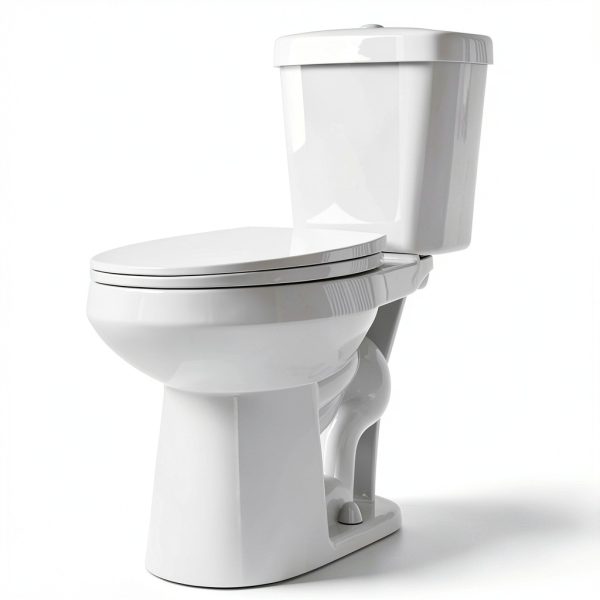Elongated Tall Toilet Miuara 19 Inch Dual Flush Two-Piece White-4