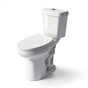 Elongated Tall Toilet Miuara 19 Inch Dual Flush Two-Piece White-0