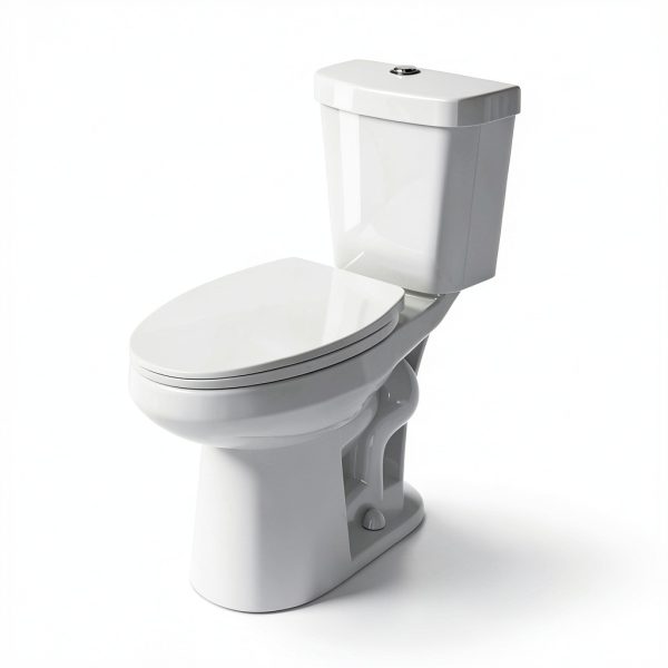 Elongated Tall Toilet Miuara 19 Inch Dual Flush Two-Piece White-0