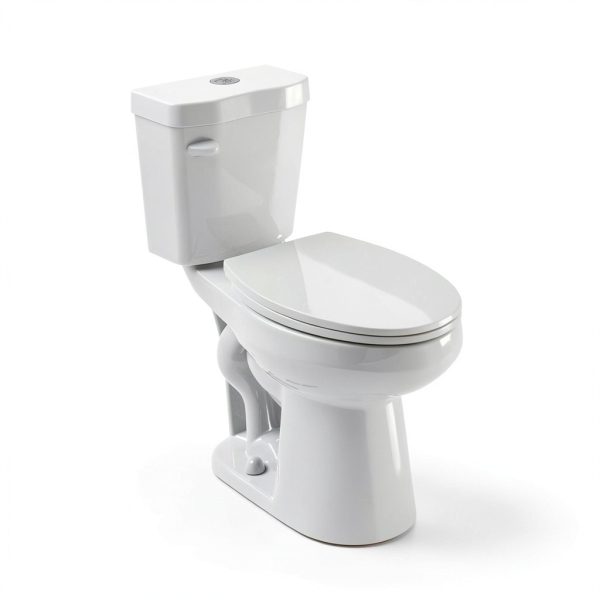 Miuara Elongated Tall Toilet 19 Inch 1.28 GPF Single Flush White-0
